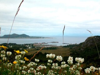 Ferienhaus Sandøy  10