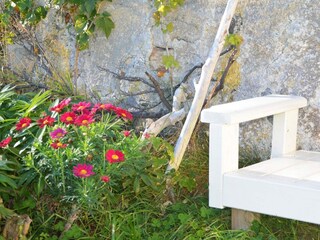 Ferienhaus Sandøy Außenaufnahme 5