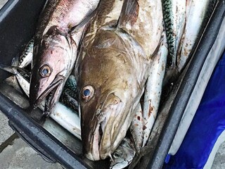 Vakantiehuis Bygstad  47