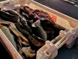 Vakantiehuis Urangsvåg  45