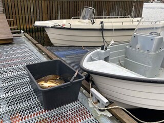 Ferienhaus Urangsvåg  37