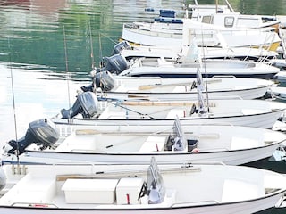 Ferienhaus Sørbøvåg  8