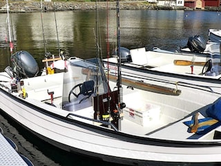 Ferienhaus Sørbøvåg  40