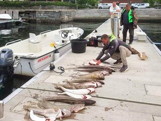 Appartement Svelgen  23