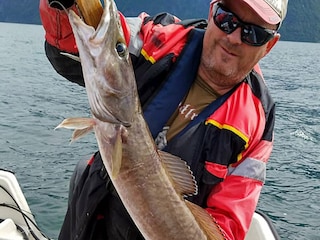 Ferienhaus Tresfjord  24