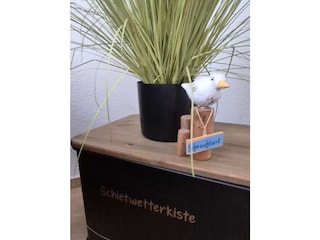 Schietwetterkiste