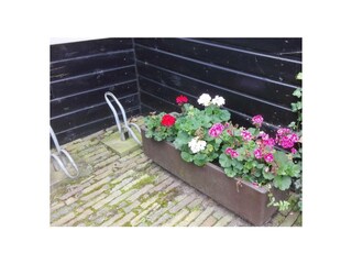 Ferienwohnung Stavenisse Außenaufnahme 24