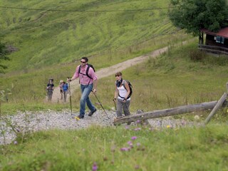 Chalet Oberstaufen Environnement 15