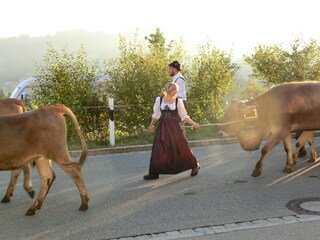 Chalet Oberstaufen Entorno 14