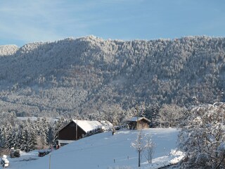 Chalet Oberstaufen Environnement 19