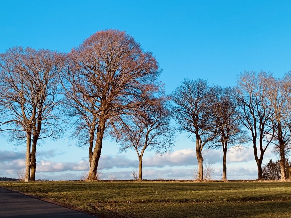 Wandern in der Natur