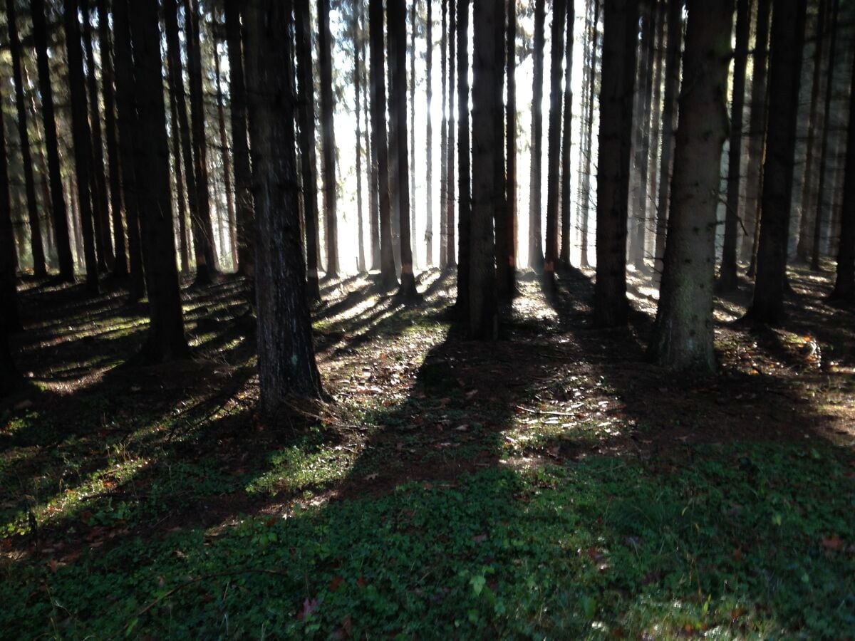 Wanderweg nach Gemünd.