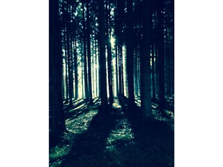 Vakantieappartement Kall Omgeving 23