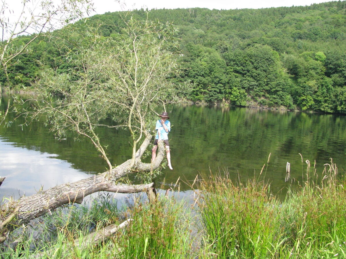 Ruhrsee/National Park Eifel