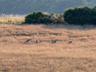 Vakantieappartement Kall Omgeving 31