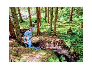 Vakantieappartement Kall Omgeving 32