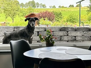 Vakantieappartement Kall Buitenaudio-opname 8