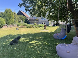 Blick vom Garten zur Ferienwohnung