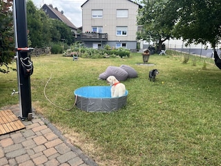 Auf Anfrage Hundepool