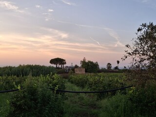 Holiday house Partinico Outdoor Recording 11