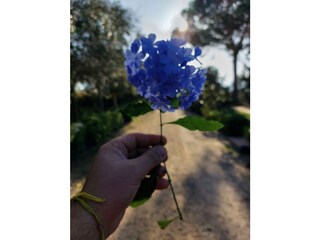 Holiday house Partinico Outdoor Recording 7