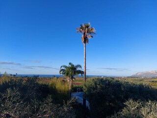 Holiday house Partinico Outdoor Recording 9