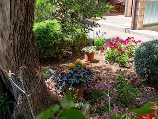 Apartment Orebic Ausstattung 7