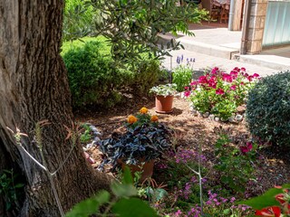 Apartment Orebic Features 7