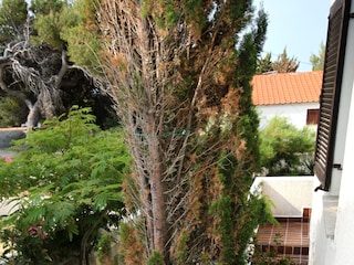 Apartment Košljun Ausstattung 11
