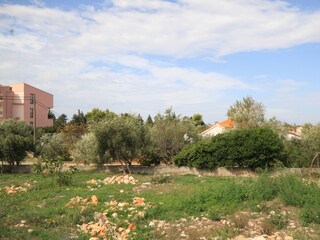 Apartment Ugljan (Ort) Features 2