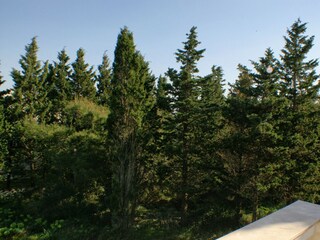 Apartment Stara Novalja Features 4