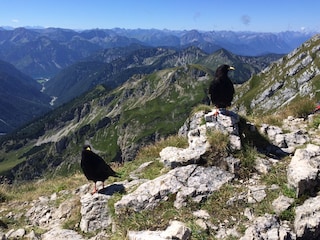 Blick von der Hochplatte