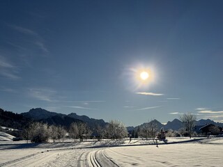 Loipe neben dem Haus