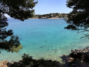 Two bedroom apartment near beach Lumbarda, Korčula (A-9480-a) - Lumbarda - image1