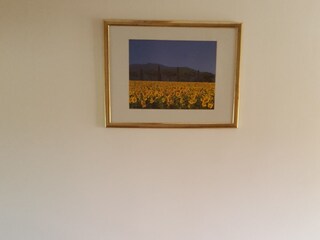 Apartment Starigrad Features 3