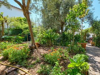 Apartment Mali Losinj Ausstattung 27