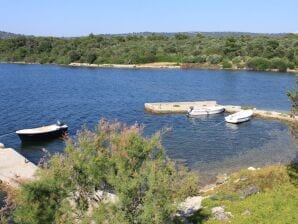 One bedroom apartment near beach Veli Rat, Dugi otok (A-438-b) - Verunić - image1