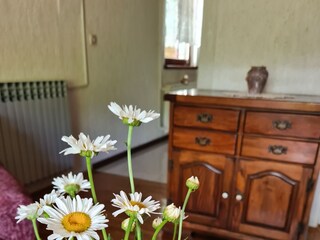 Apartment Mošćenička Draga Features 2