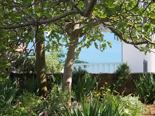Apartment Marina in Kroatien Ausstattung 13