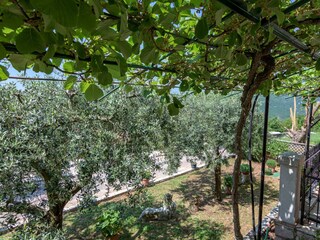 Holiday house Ružići Features 3