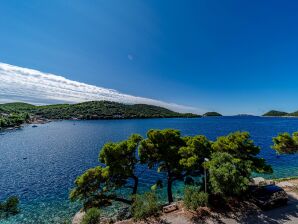 One bedroom apartment near beach Ubli, Lastovo (A-8344-a) - Pasadur - image1