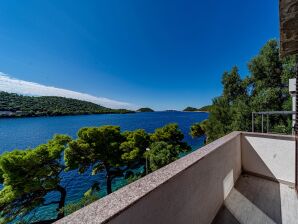 One bedroom apartment near beach Ubli, Lastovo (A-8344-a) - Pasadur - image1