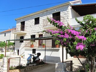 Apartment Sutivan Features 5