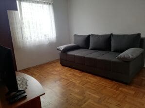 Two bedroom apartment with terrace Ždrelac, Pašman (A-8514-a) - Zdrelac - image1