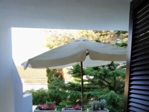 Two bedroom apartment with terrace Mandre, Pag (A-9420-a) - Mandre - image1