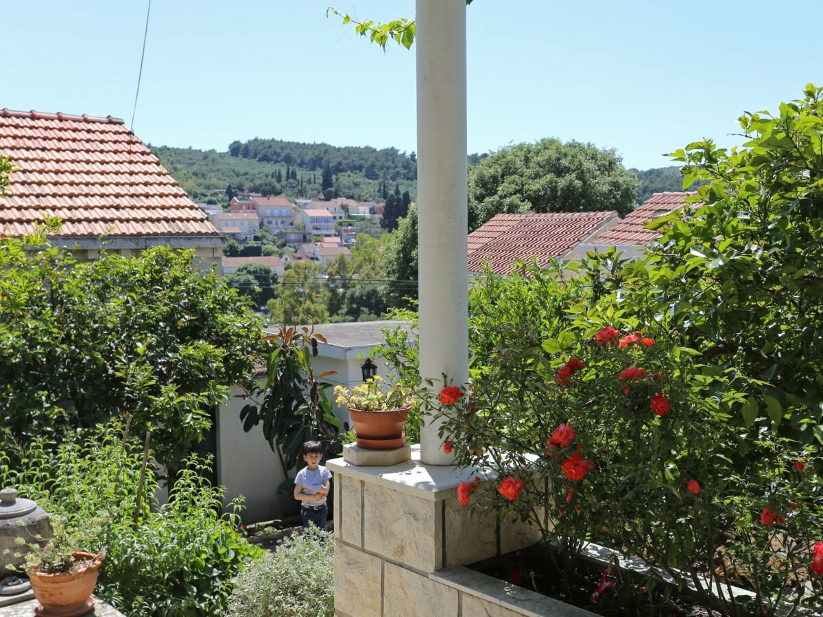 Apartment Lumbarda Ausstattung 2