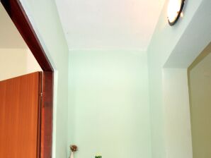 Two bedroom apartment with terrace Zaglav, Dugi otok (A-878-a) - Sali - image1