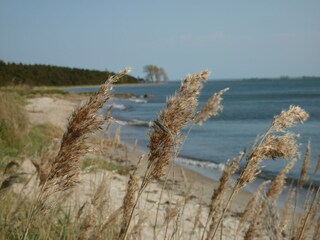 Naturstrand bei Zudar