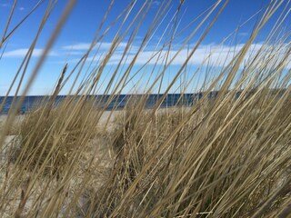 ruhiger Strandabschnitt Rügen