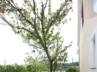 Apartment Kampor Features 12